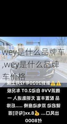 wey是什么品牌车,wey是什么品牌车价格