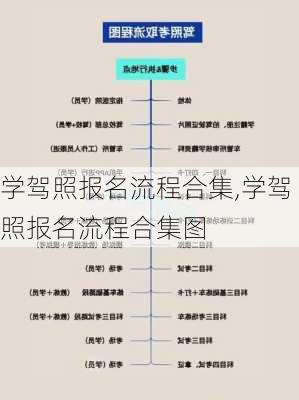 学驾照报名流程合集,学驾照报名流程合集图