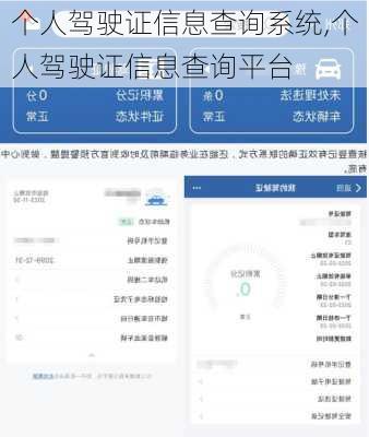 个人驾驶证信息查询系统,个人驾驶证信息查询平台